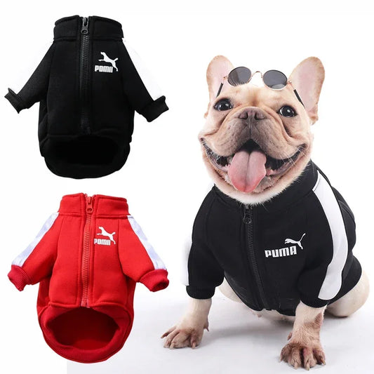 Ropa cálida para perros pequeños y medianos PUMA