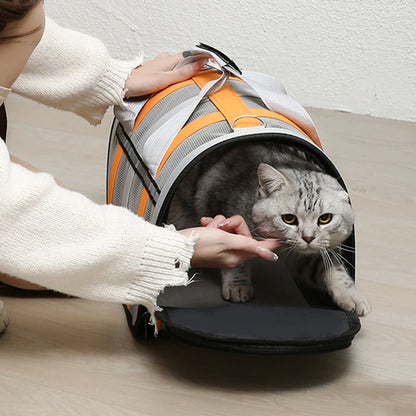 Bolsa de transporte portátil para mascotas, bolso de malla plegable para gatos y perros