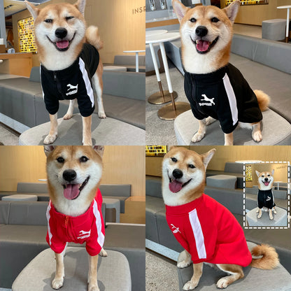 Ropa cálida para perros pequeños y medianos PUMA