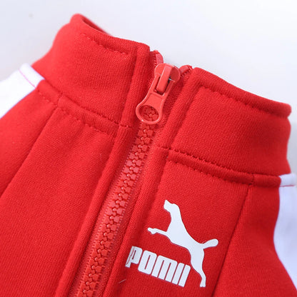 Ropa cálida para perros pequeños y medianos PUMA