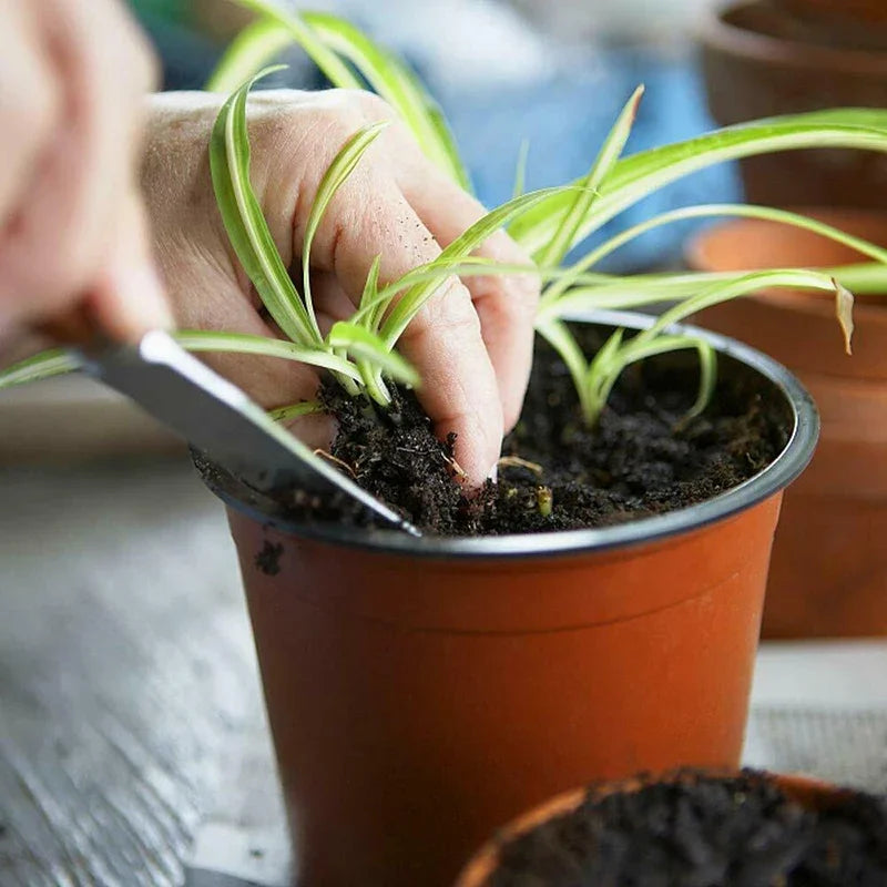 Macetas flexibles para plantas de vivero 75pzas