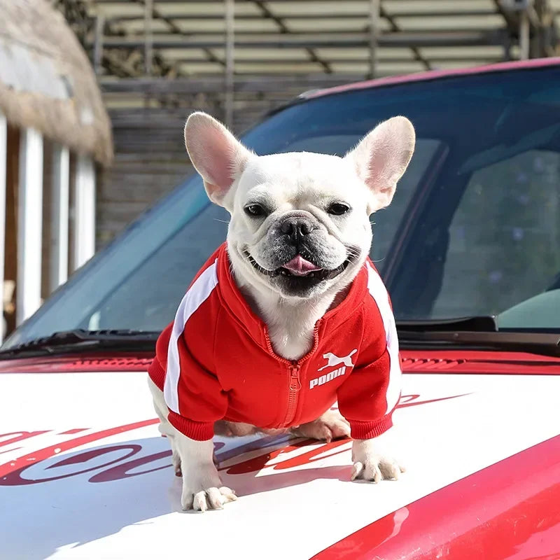 Ropa cálida para perros pequeños y medianos PUMA