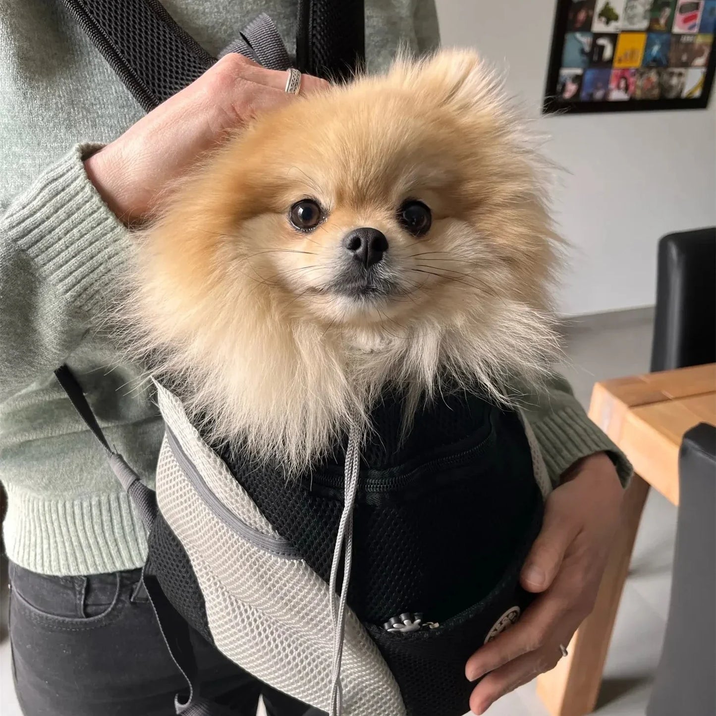 Mochila para mascotas, bolso de hombro doble portátil para perros