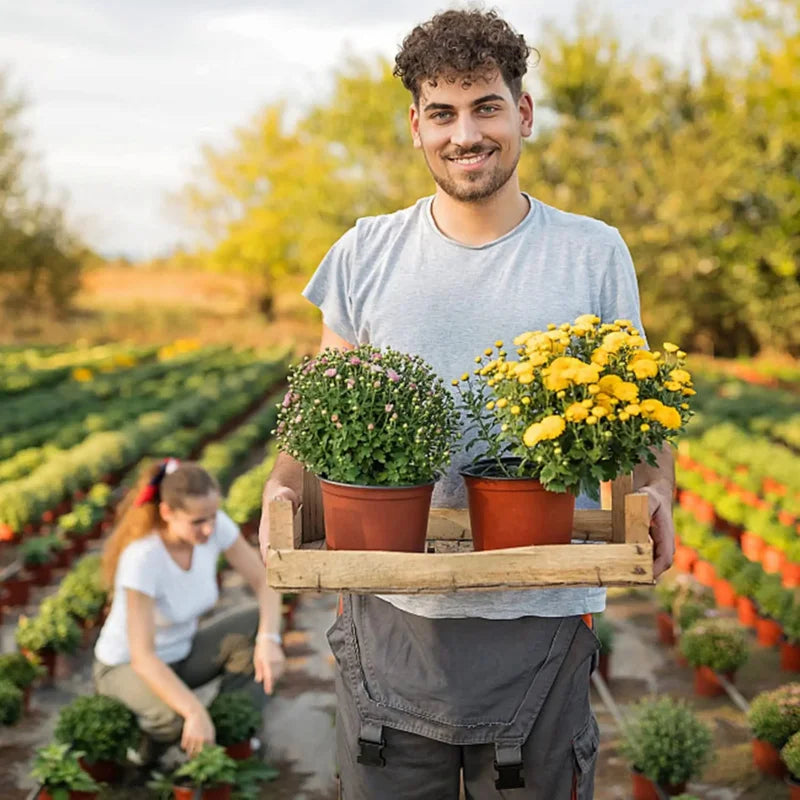 Macetas flexibles para plantas de vivero 75pzas